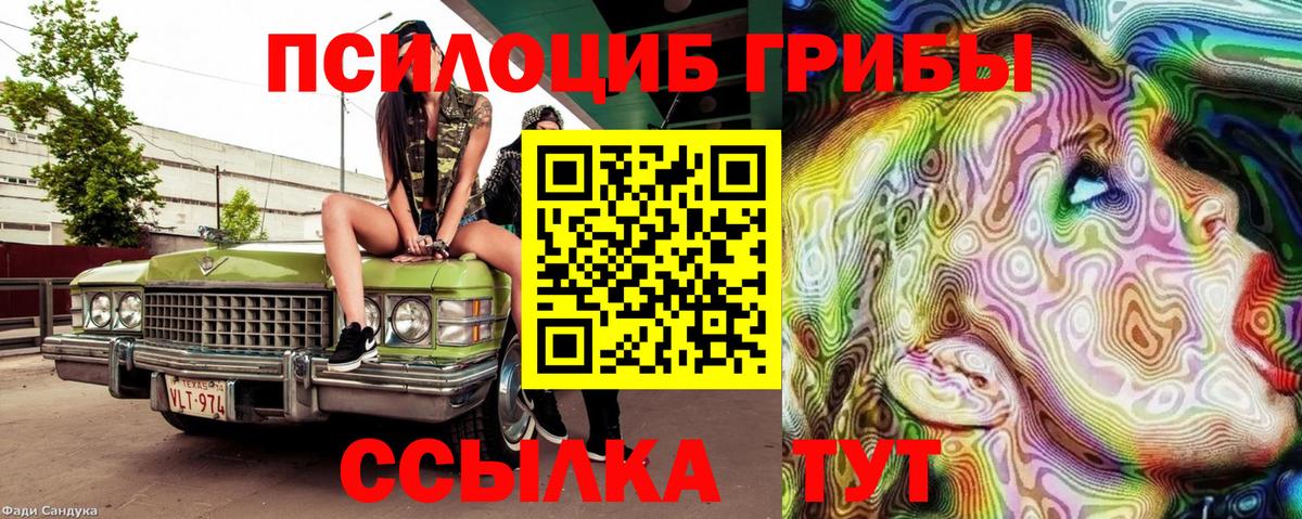 Псилоцибиновые грибы Cubensis  закладка  Котельники  Вход с VPN 